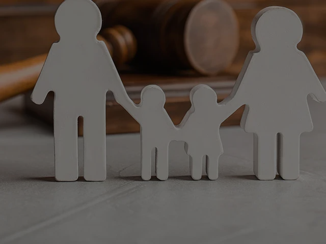 Image hover effect image