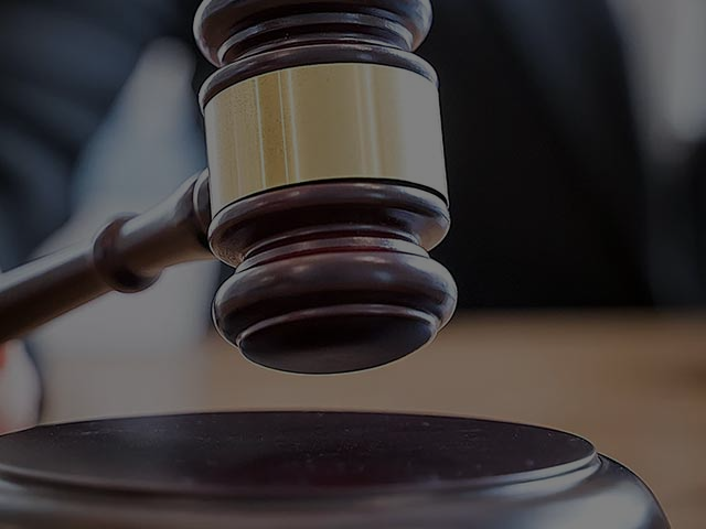 Image hover effect image