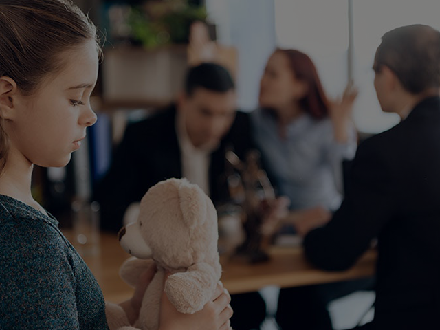 Image hover effect image