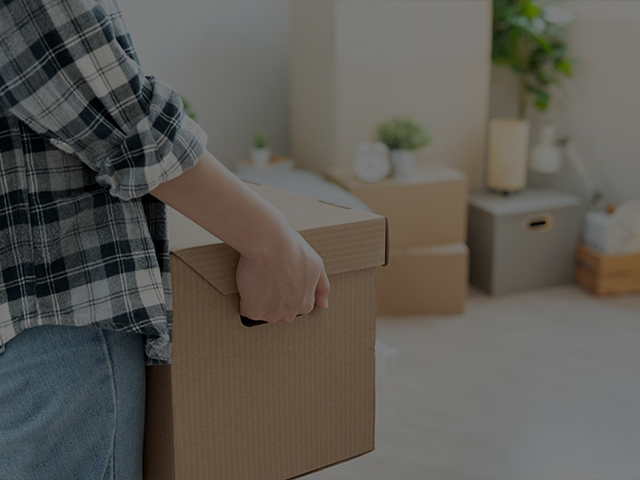 Image hover effect image